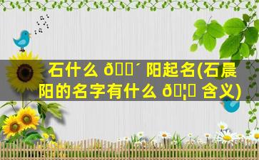 石什么 🐴 阳起名(石晨阳的名字有什么 🦊 含义)